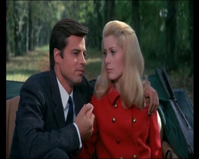 Gündüz Güzeli Fotoğrafı