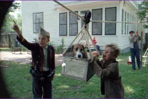 Köpeğim Skip Fotoğrafı