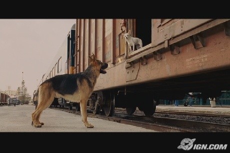 Beverly Hills Çuvava Fotoğrafı