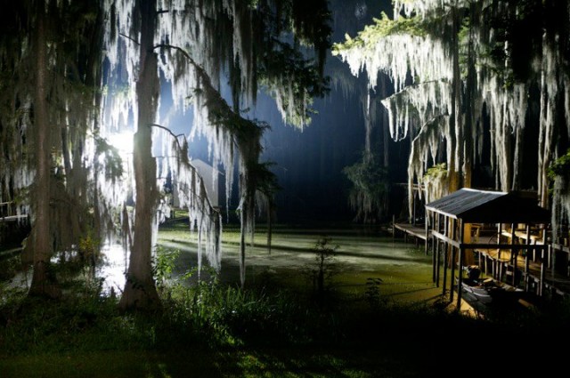 Boggy Creek Fotoğrafı