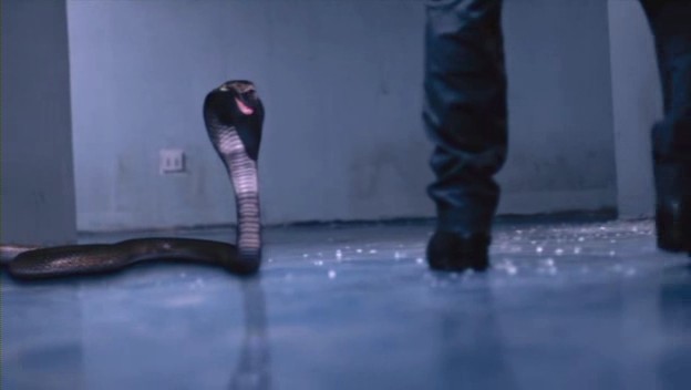 Kral Kobranın Intikamı Fotoğrafı