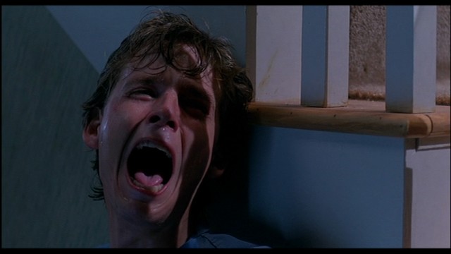 Elm Sokağında Kabus 2 : Freddy'nin İntikamı Fotoğrafı