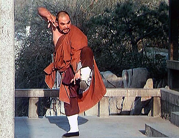 This ıs Kung Fu Fotoğrafı