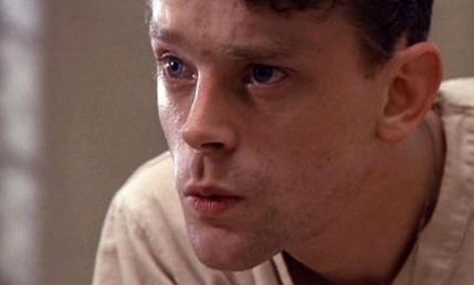 Guguk Kuşu Fotoğrafı