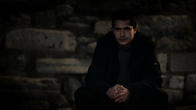 Çakal Fotoğrafı