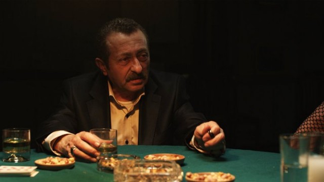 Çakal Fotoğrafı