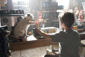 Köpek Oteli Fotoğrafı