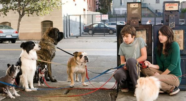 Köpek Oteli Fotoğrafı