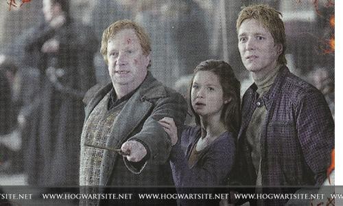 Harry Potter ve Ölüm Yadigarları: Bölüm 2 Fotoğrafları 302