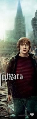 Harry Potter ve Ölüm Yadigarları: Bölüm 2 Fotoğrafları 348