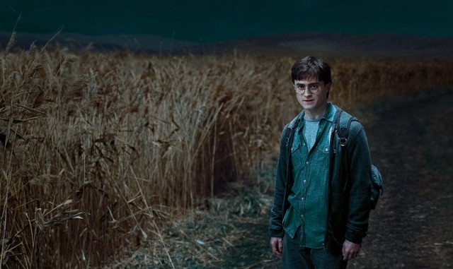 Harry Potter ve Ölüm Yadigarları: Bölüm 2 Fotoğrafları 86