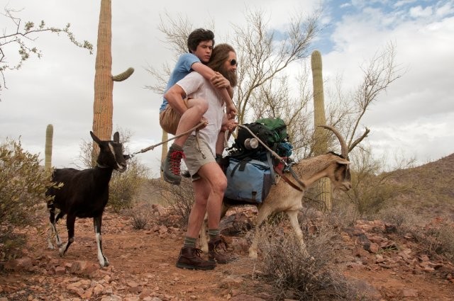 Goats Fotoğrafı