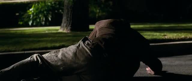 Çılgın Aptal Aşk Fotoğrafı