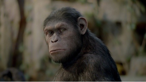 Maymunlar Cehennemi: Başlangıç Fotoğrafları 23