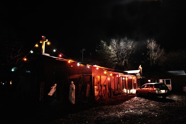 Cold Fish Fotoğrafı