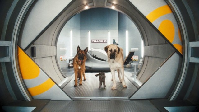 Kediler ve Köpekler Kitty Galore'un İntikamı Fotoğrafı