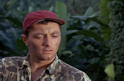 Tuzak Körfezi fotoğrafı
