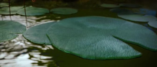 Muhteşem ve Kudretli Oz Fotoğrafı