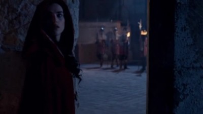 Merlin Fotoğrafı