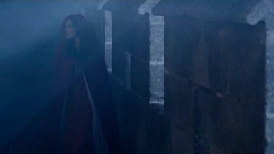 Merlin Fotoğrafı