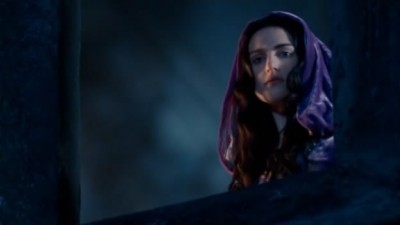 Merlin Fotoğrafı