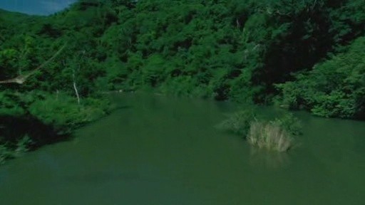 100 Million BC Fotoğrafı