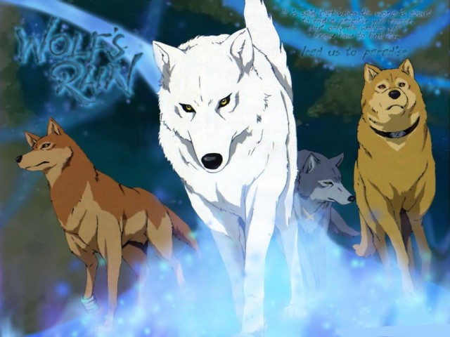 Wolf's Rain Fotoğrafları 6