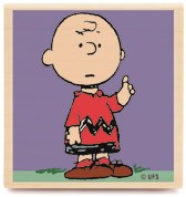 Charlie Brown Ve Snoopy Shov fotoğrafı