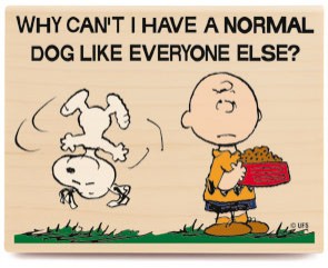 Charlie Brown Ve Snoopy Shov Fotoğrafları 4