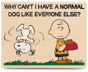 Charlie Brown Ve Snoopy Shov Fotoğrafı