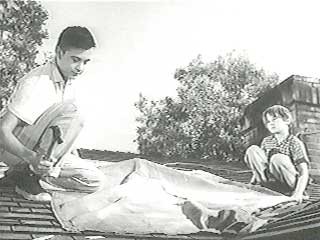 The Shaggy Dog Fotoğrafı