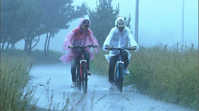 The Trip Fotoğrafı