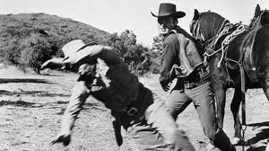 Gun Belt Fotoğrafı