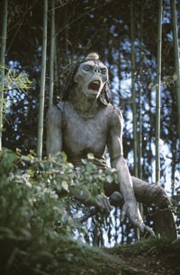 Zaman Tüneli Fotoğrafı