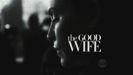 The Good Wife Fotoğrafı