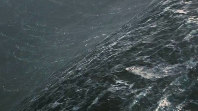 Yıldızlararası Fotoğrafı